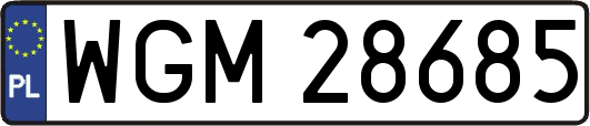 WGM28685