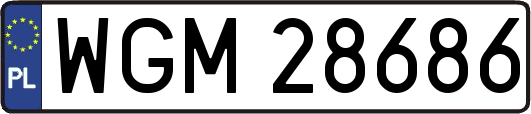 WGM28686