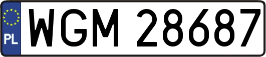 WGM28687