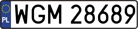 WGM28689