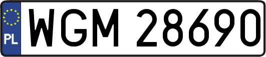 WGM28690