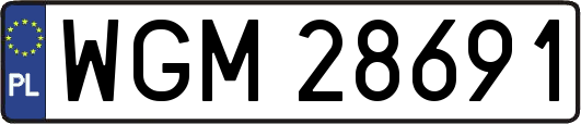 WGM28691