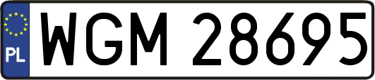 WGM28695