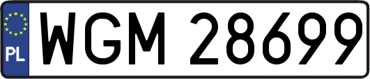 WGM28699