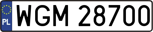 WGM28700