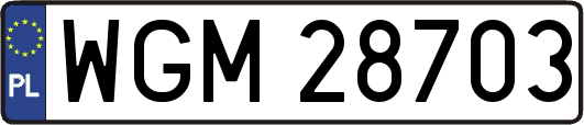 WGM28703