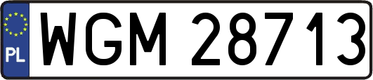 WGM28713