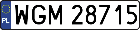 WGM28715