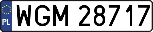 WGM28717