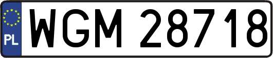 WGM28718