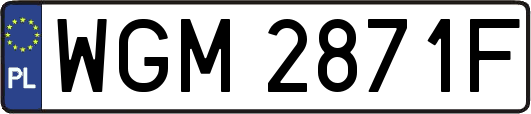 WGM2871F