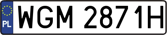 WGM2871H