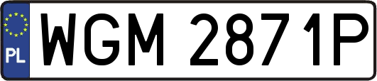WGM2871P