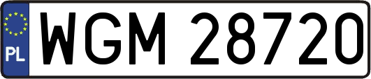 WGM28720