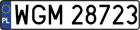 WGM28723