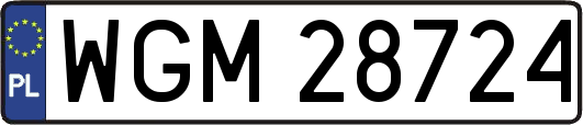 WGM28724