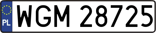WGM28725