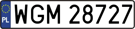 WGM28727