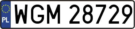 WGM28729