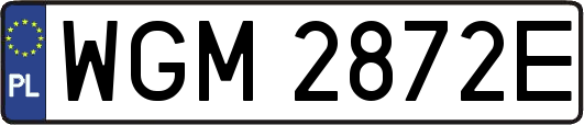 WGM2872E