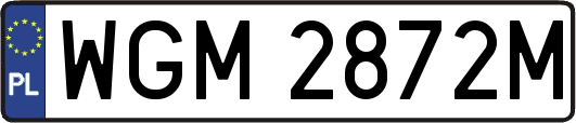 WGM2872M