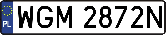WGM2872N