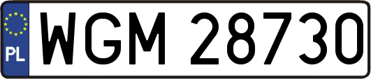 WGM28730