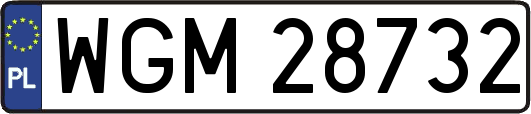 WGM28732