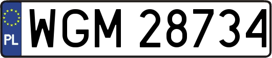 WGM28734