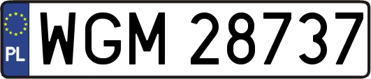 WGM28737