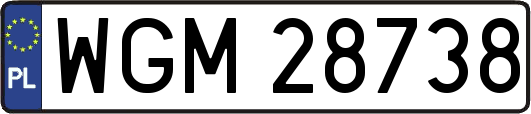 WGM28738