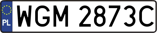 WGM2873C