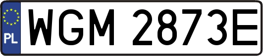 WGM2873E