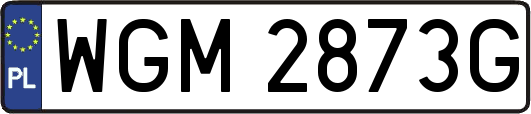 WGM2873G