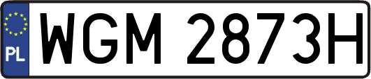 WGM2873H