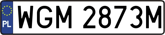 WGM2873M
