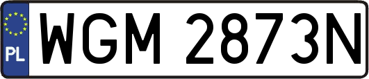 WGM2873N