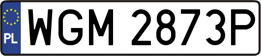 WGM2873P