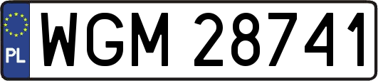 WGM28741