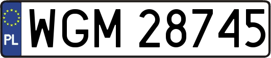 WGM28745