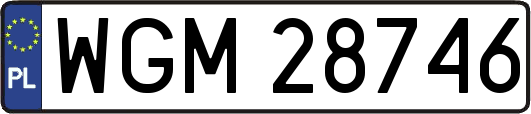 WGM28746