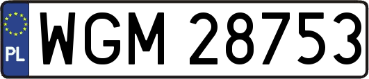WGM28753