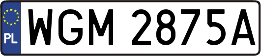 WGM2875A
