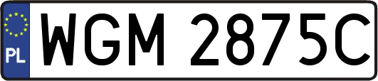 WGM2875C