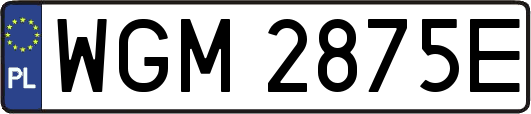 WGM2875E