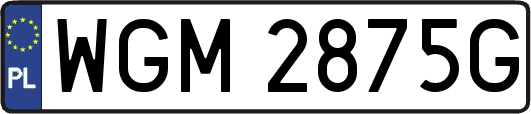 WGM2875G
