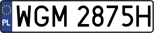 WGM2875H