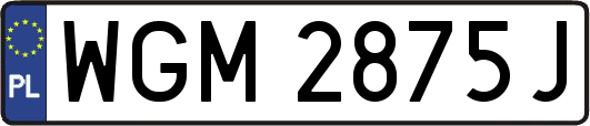 WGM2875J
