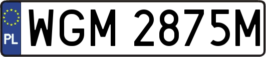 WGM2875M