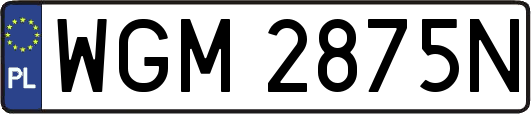WGM2875N